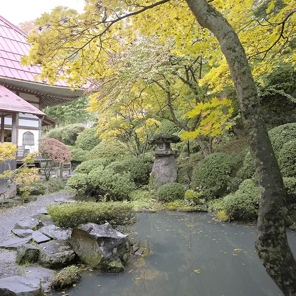岩松院の日本庭園、黄金色の紅葉と池に浮かぶ落ち葉、石灯籠と茶室が調和した秋の美しい境内