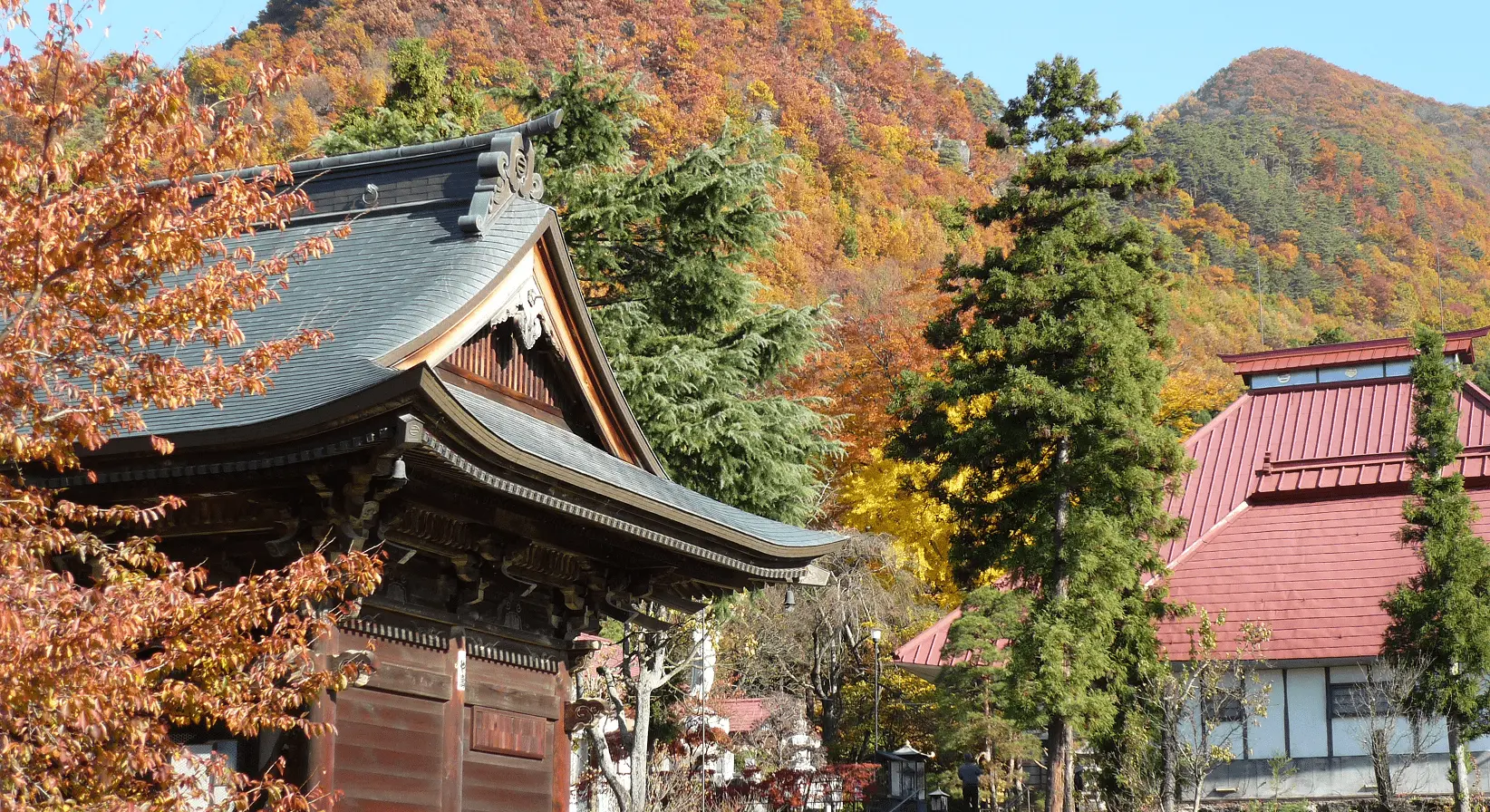 紅葉した山を背景に、木造の屋根と赤い本堂が並ぶ秋の岩松院。色づいた木々が鮮やかに境内を彩る