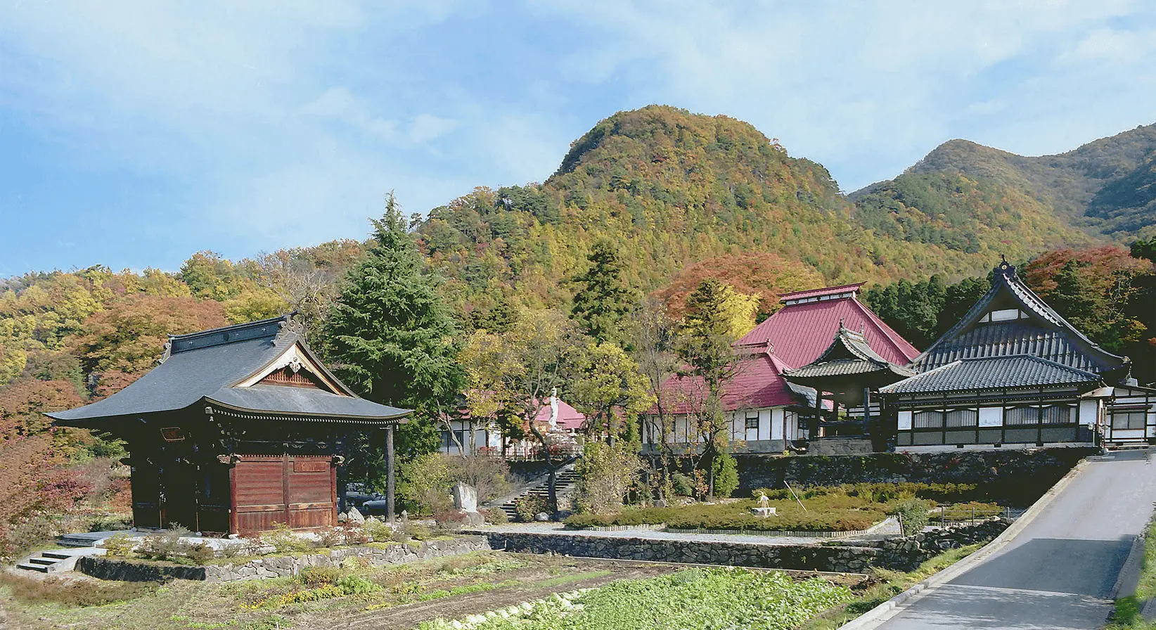 澄んだ秋空の下、色づく木々と山を背景に並ぶ岩松院の本堂と堂宇。手前には畑と道が広がる