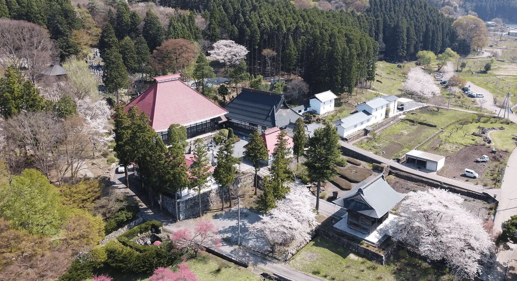 桜が咲き誇る春の岩松院を上空から望む。朱色の本堂を中心に、周囲を山林と桜並木が囲む風景